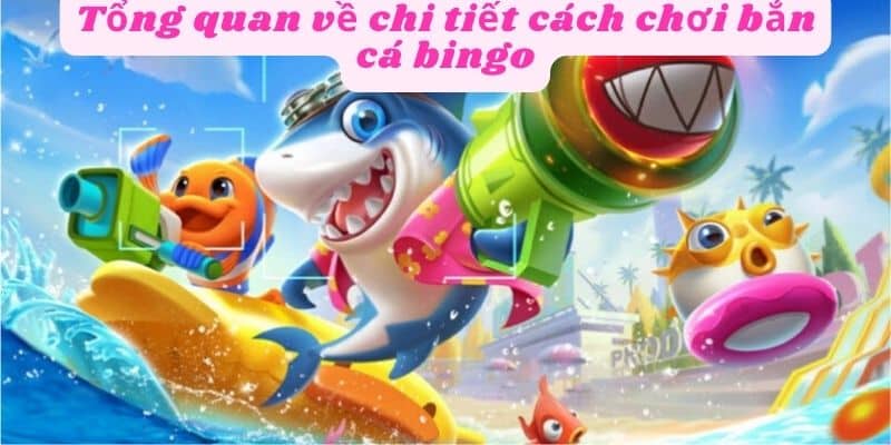 Tìm hiểu về cách chơi bắn cá bingo hiệu quả