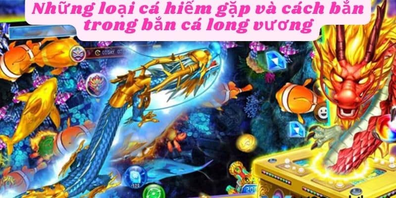 Bắn cá long vương với nhiều loại cá hiếm gặp