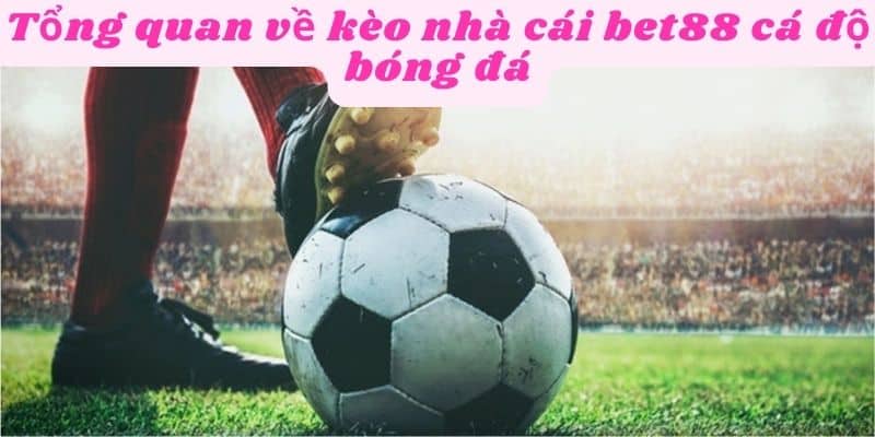 Hiểu rõ về kèo nhà cái bet88