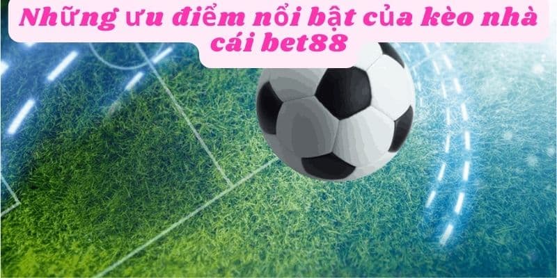 Giao diện nhà cái bet88 rất dễ sử dụng cho người mới