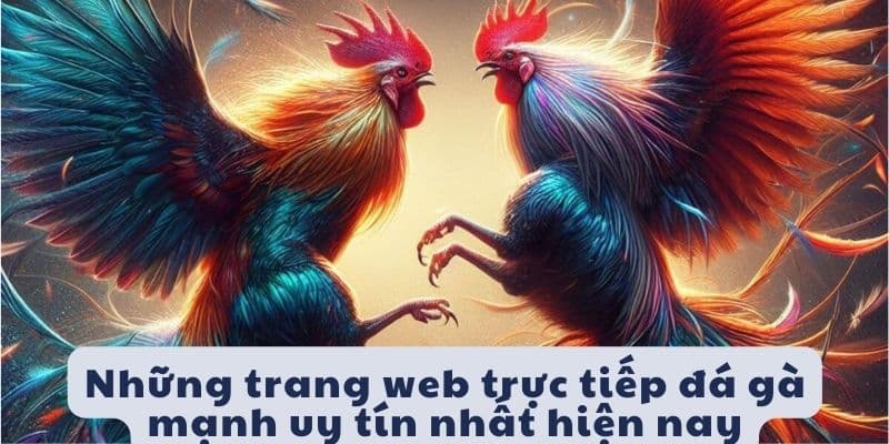 Những trang web trực tiếp đá gà mạnh hot