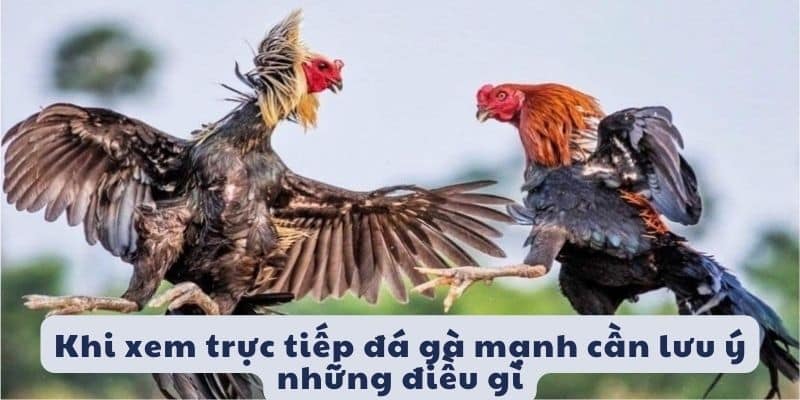 Cập nhật và theo dõi thông tin từ nhiều nguồn trước khi xem